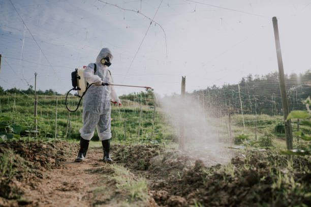 Best Mosquito Control Services  in Rio Communities, NM
