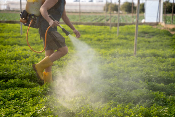 Best Pest Inspection Near Me  in Rio Communities, NM